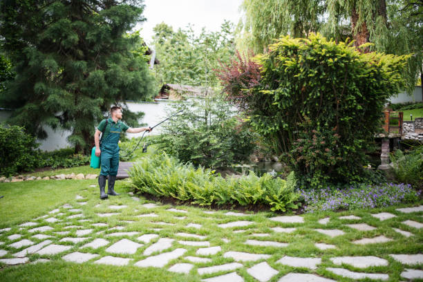 Wasp Removal Services in Pantego, TX