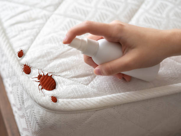 Best Commercial Pest Control Services  in Pantego, TX